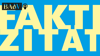 Schriftzug Faktizität