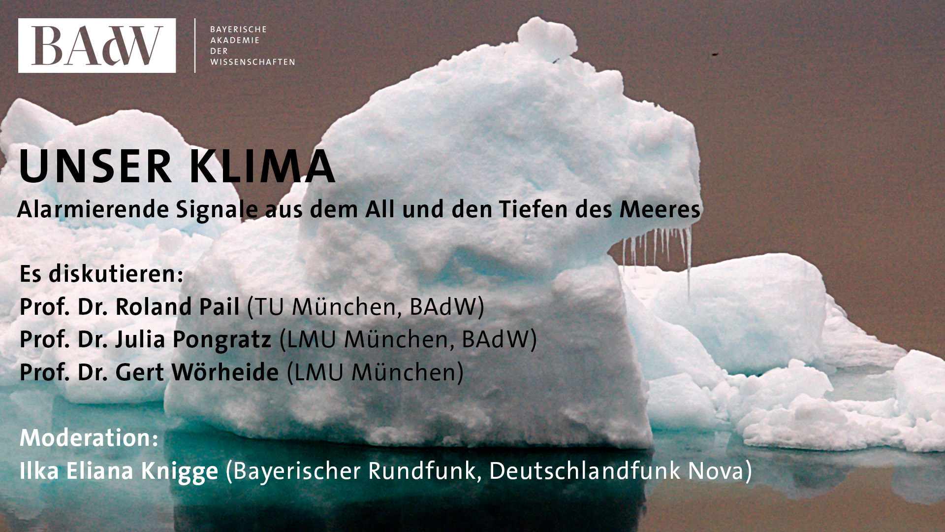 Bild zum Medienelement