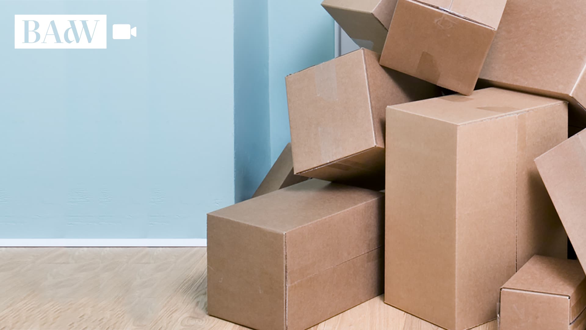 Bild zum Medienelement