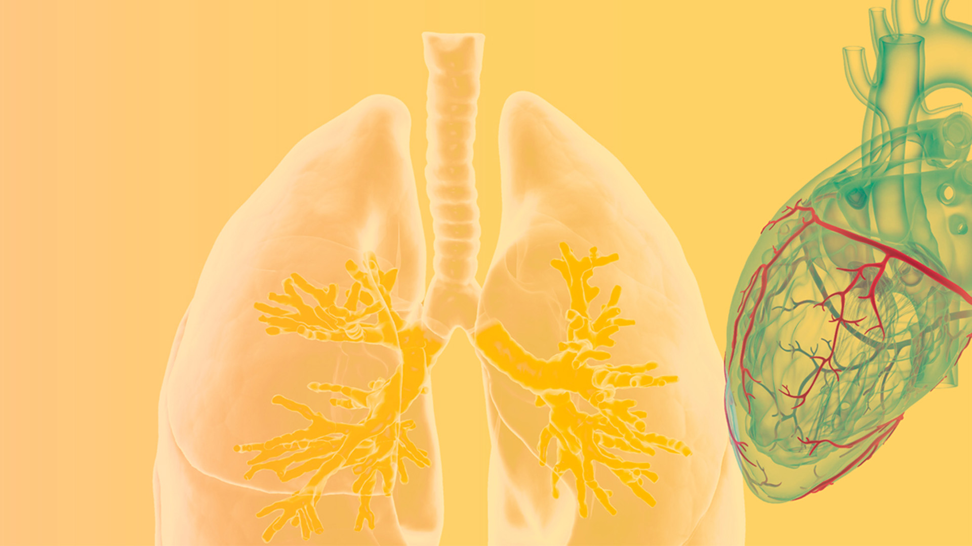 Bild zum Medienelement