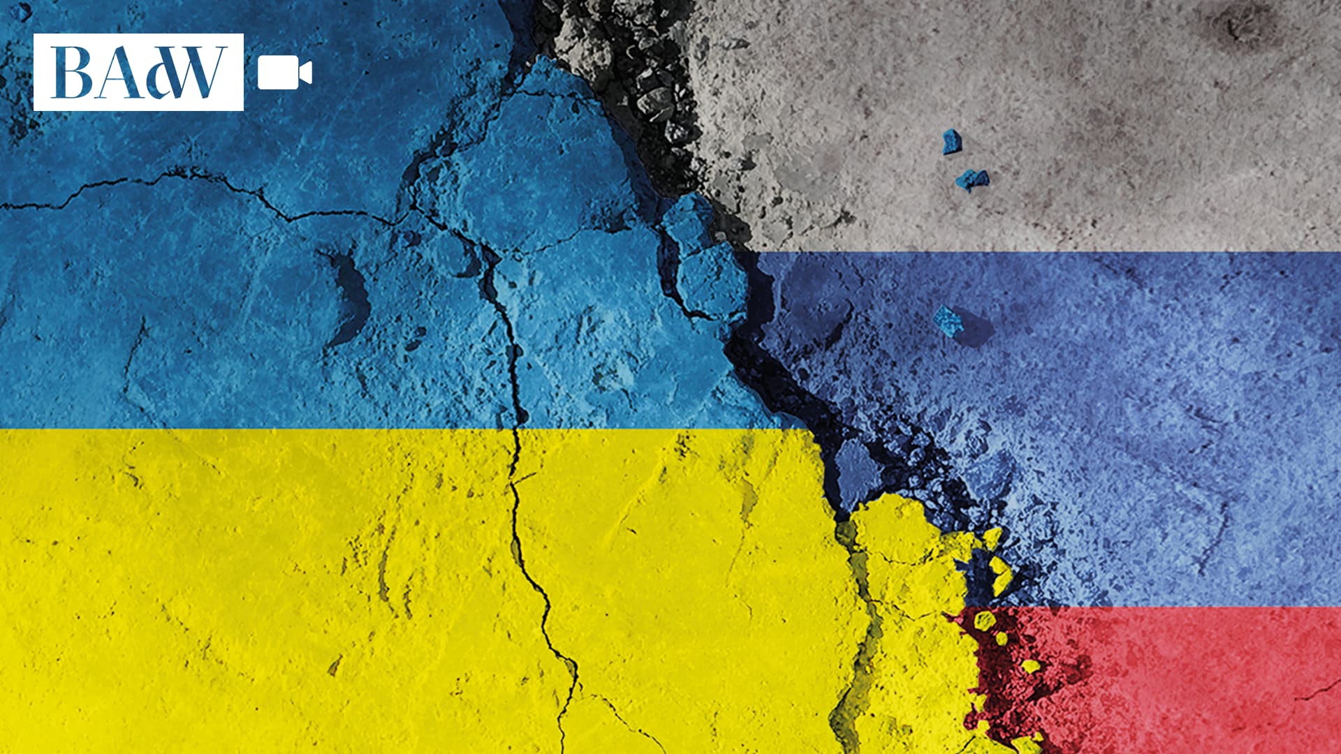 Bild zum Medienelement